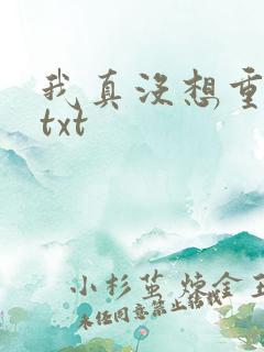 我真没想重生啊txt
