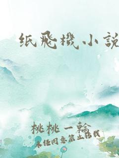 纸飞机小说