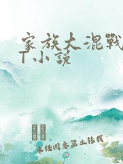 家族大混战TXT小说