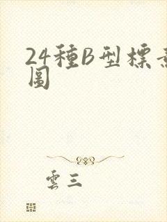 24种B型标意图