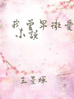 我曾卑微爱过你 小说