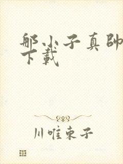 那小子真帅小说下载