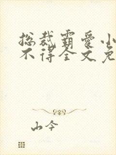 总裁霸爱小妻惹不得全文免费阅读笔趣阁