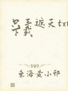 只手遮天txt下载
