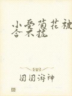 小受菊花被双龙合不拢