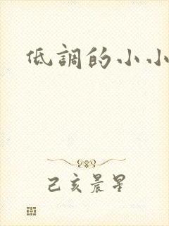 低调的小小宫女