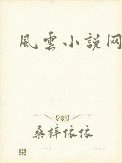 风云小说网