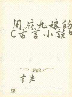 周府九娘的NPC古言小说叫什么