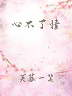 心不了情