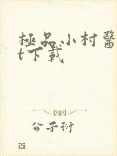 极品小村医txt下载