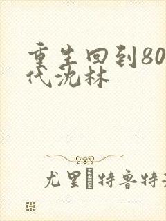 重生回到80年代沈林