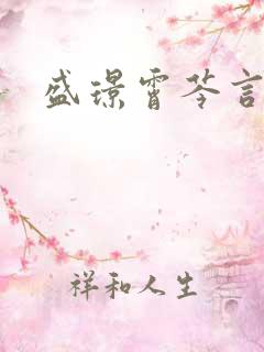 盛璟霄芩言小说