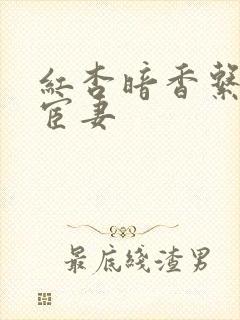 红杏暗香系列之宦妻