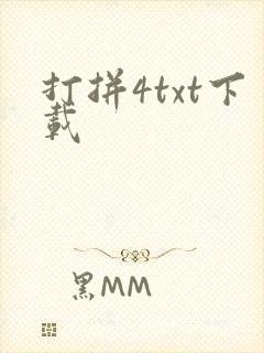 打拼4txt下载