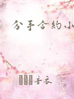 分手合约小说