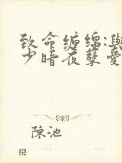 致命缠绵:与冷少暗夜孽爱