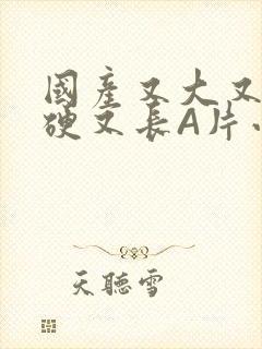 国产又大又粗又硬又长A片小说