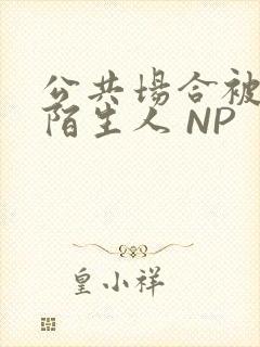 公共场合被各种陌生人 NP