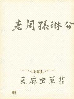 老周孙琳公交车