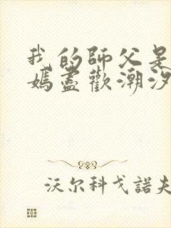 我的师父是王语嫣尽欢潮汐