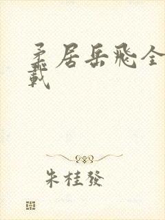 柔居岳飞全传下载