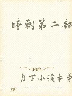 暗刺第二部