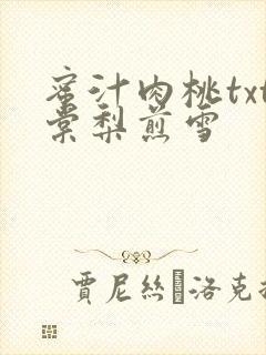 蜜汁肉桃txt棠梨煎雪