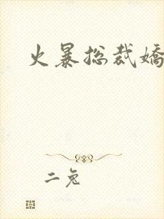 火暴总裁娇柔妻