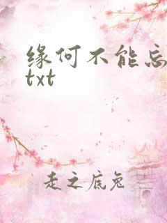 缘何不能忘记你txt