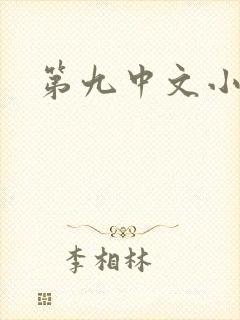 第九中文小说网
