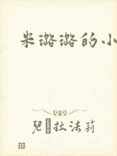米璐璐的小说