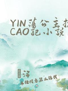 YIN荡公主挨CAO记小说