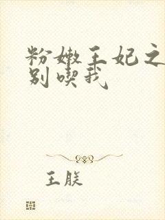 粉嫩王妃之殿下别吃我