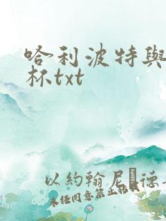 哈利波特与火焰杯txt