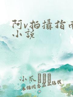 阿v拍摄指南说小说