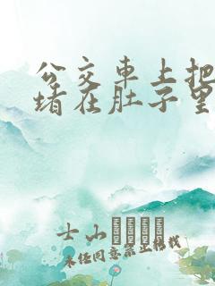 公交车上把米青堵在肚子里