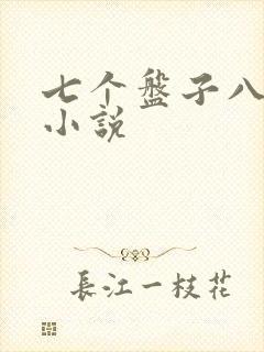 七个盘子八个碗小说