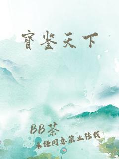 宝鉴天下