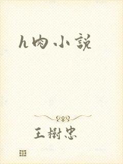 h肉小说