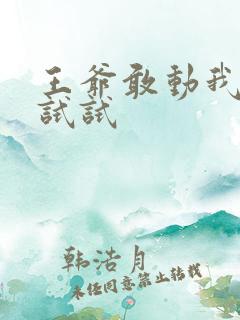 王爷敢动我妈咪试试