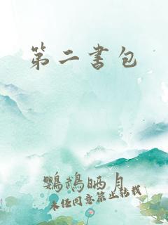 第二书包