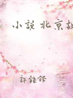 小说 北京故事