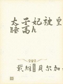 太子妃被皇上强睡高h