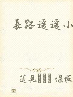 长路遥遥小说