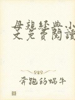母亲经典小说全文免费阅读