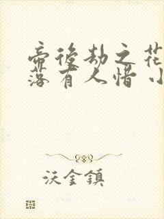 帝后劫之花开花落有人惜 小说