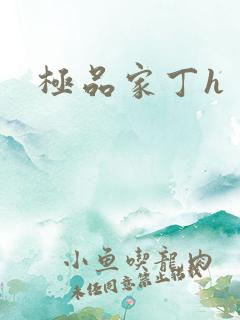 极品家丁h