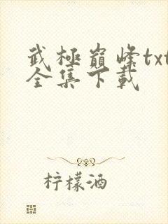武极巅峰txt全集下载