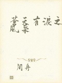 苍天有泪之军人风采