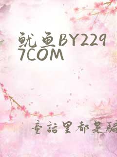 鱿鱼BY2297COM